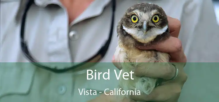 Bird Vet Vista - California