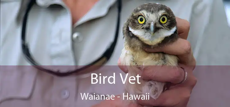 Bird Vet Waianae - Hawaii