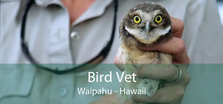 Bird Vet Waipahu - Hawaii