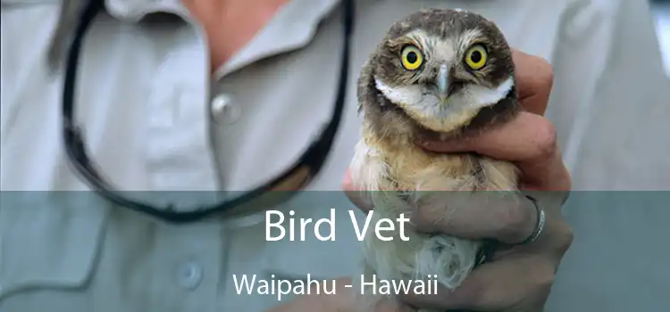 Bird Vet Waipahu - Hawaii