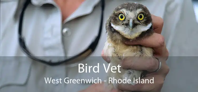Bird Vet West Greenwich - Rhode Island