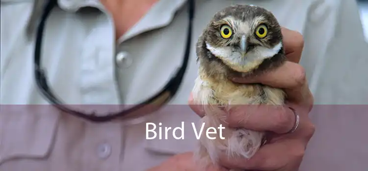 Bird Vet 