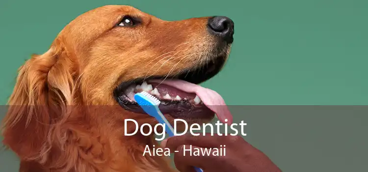Dog Dentist Aiea - Hawaii