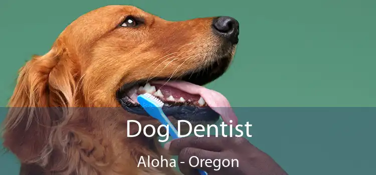 Dog Dentist Aloha - Oregon