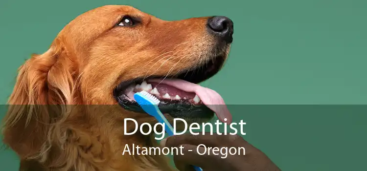 Dog Dentist Altamont - Oregon