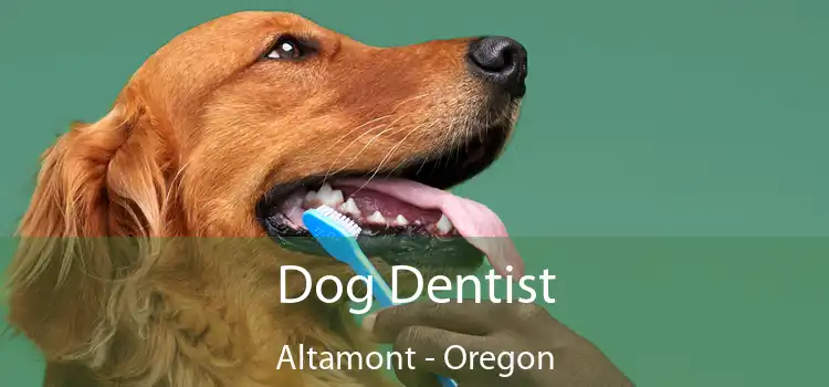 Dog Dentist Altamont - Oregon