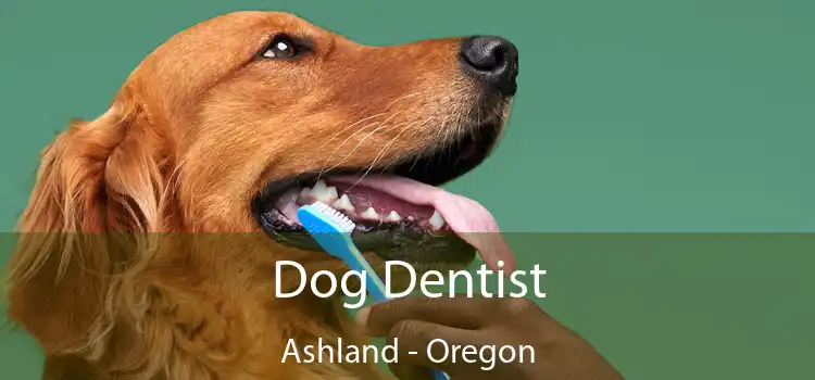 Dog Dentist Ashland - Oregon