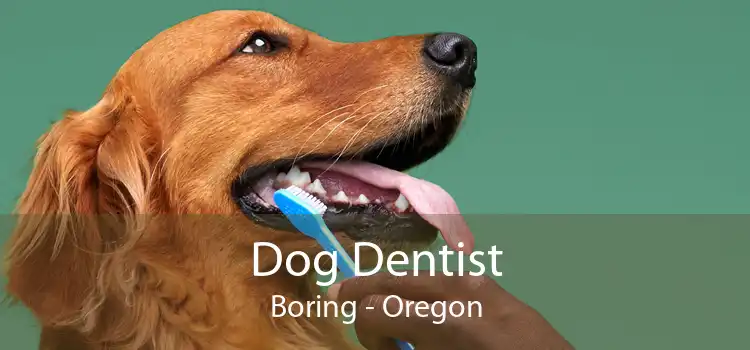 Dog Dentist Boring - Oregon