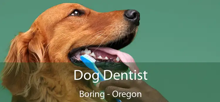 Dog Dentist Boring - Oregon