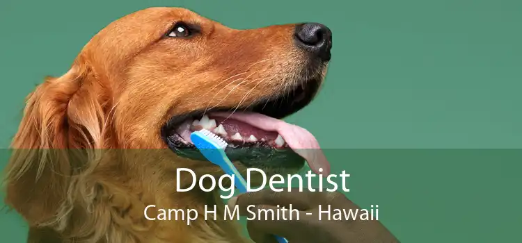 Dog Dentist Camp H M Smith - Hawaii