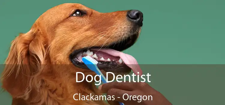 Dog Dentist Clackamas - Oregon