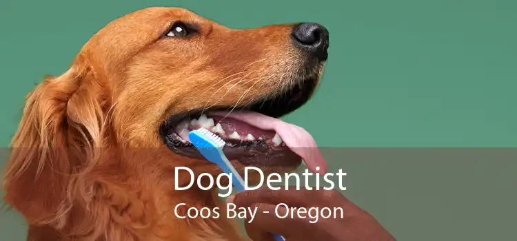 Dog Dentist Coos Bay - Oregon