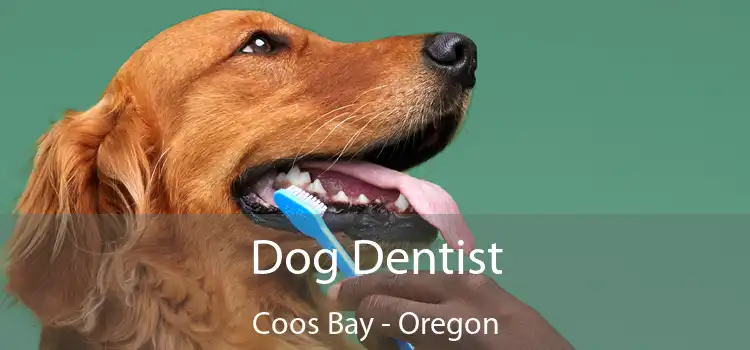 Dog Dentist Coos Bay - Oregon