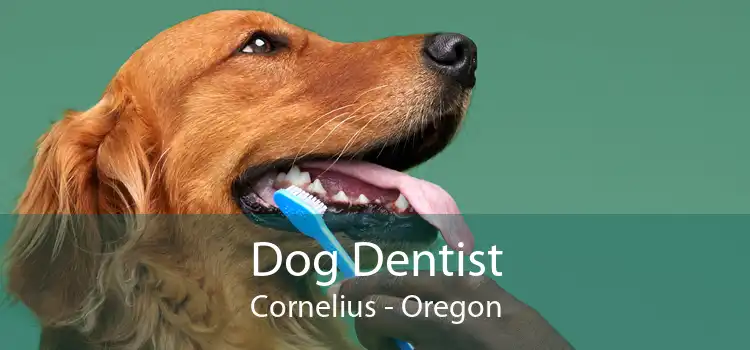 Dog Dentist Cornelius - Oregon