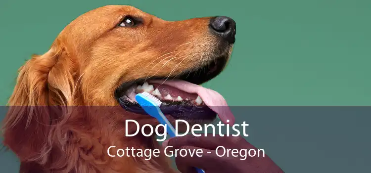 Dog Dentist Cottage Grove - Oregon