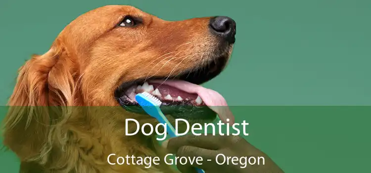 Dog Dentist Cottage Grove - Oregon