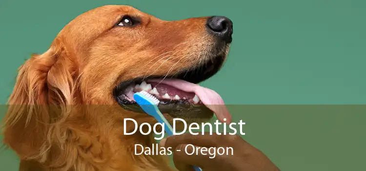 Dog Dentist Dallas - Oregon