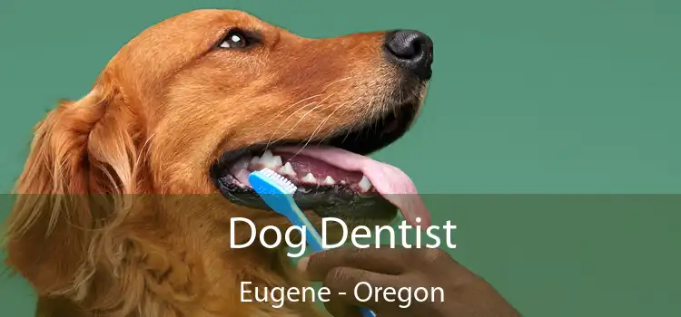 Dog Dentist Eugene - Oregon