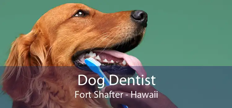 Dog Dentist Fort Shafter - Hawaii