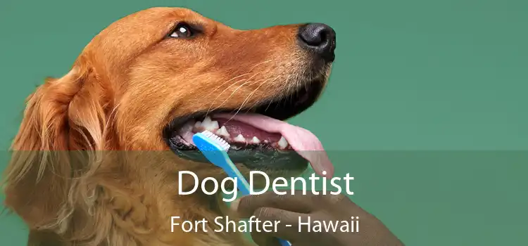 Dog Dentist Fort Shafter - Hawaii