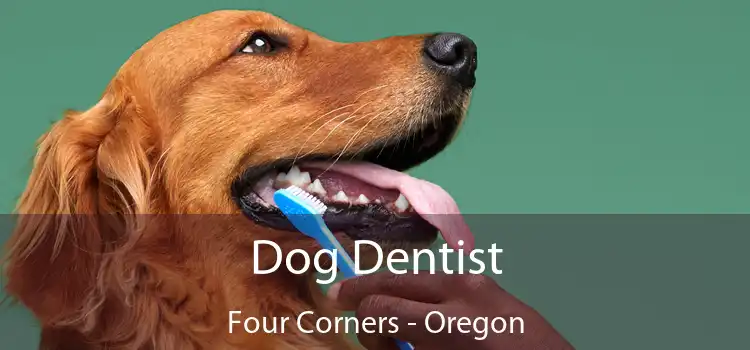 Dog Dentist Four Corners - Oregon