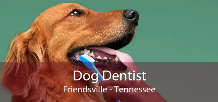 Dog Dentist Friendsville - Tennessee