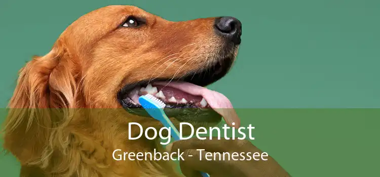 Dog Dentist Greenback - Tennessee