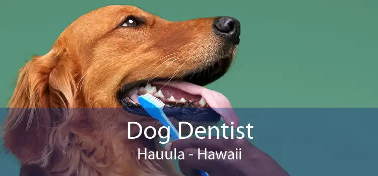 Dog Dentist Hauula - Hawaii