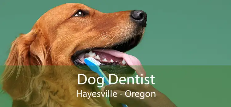 Dog Dentist Hayesville - Oregon