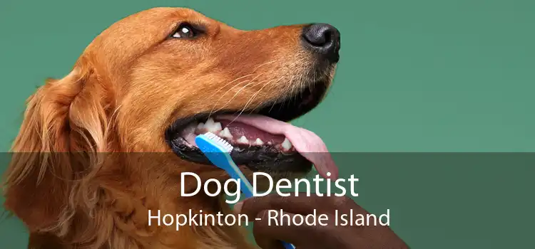 Dog Dentist Hopkinton - Rhode Island