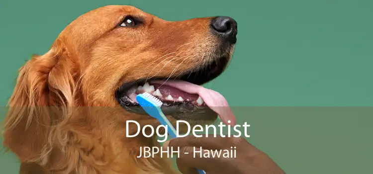 Dog Dentist JBPHH - Hawaii