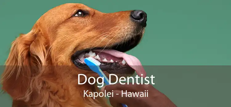 Dog Dentist Kapolei - Hawaii