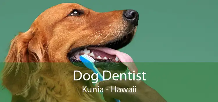 Dog Dentist Kunia - Hawaii