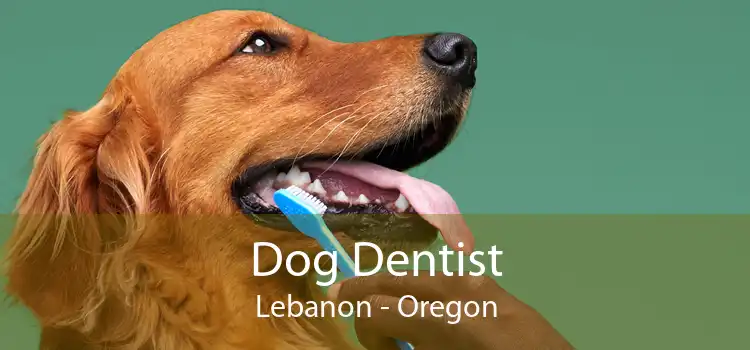 Dog Dentist Lebanon - Oregon