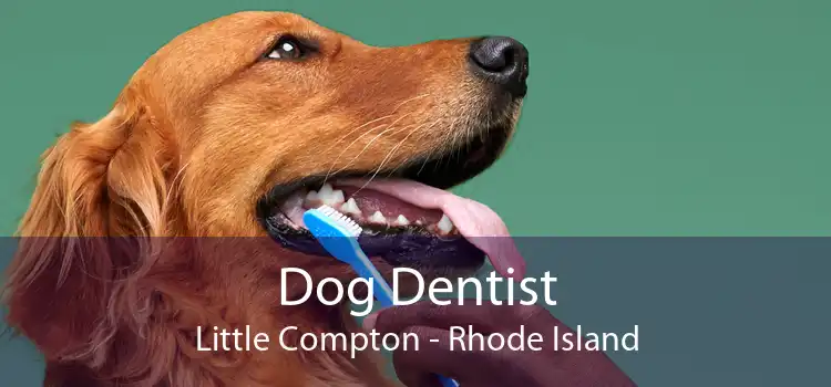 Dog Dentist Little Compton - Rhode Island