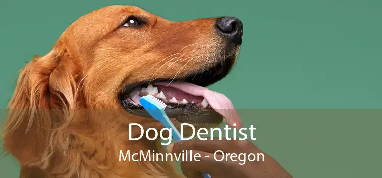 Dog Dentist McMinnville - Oregon