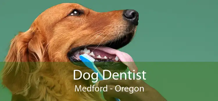 Dog Dentist Medford - Oregon