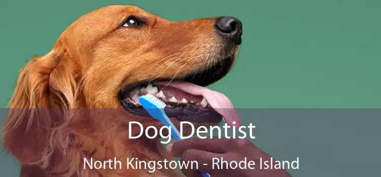 Dog Dentist North Kingstown - Rhode Island