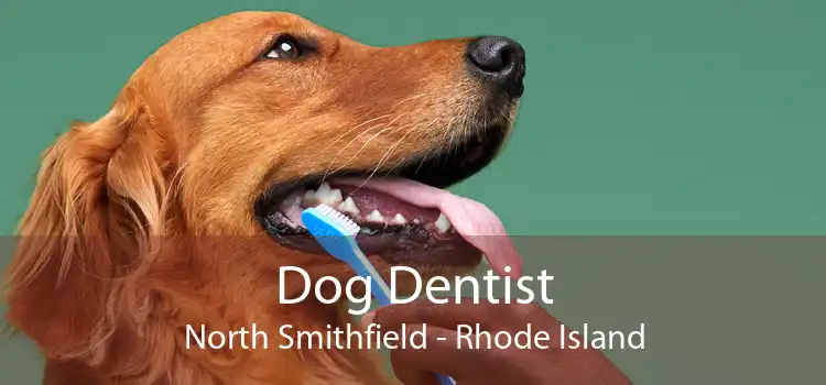 Dog Dentist North Smithfield - Rhode Island