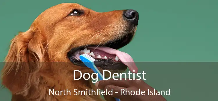 Dog Dentist North Smithfield - Rhode Island