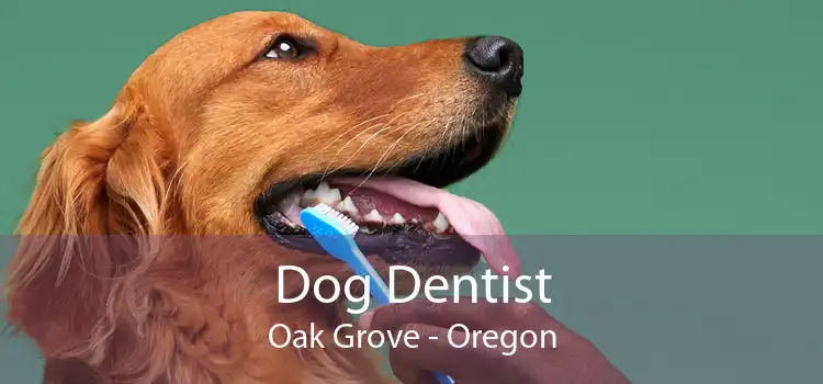 Dog Dentist Oak Grove - Oregon