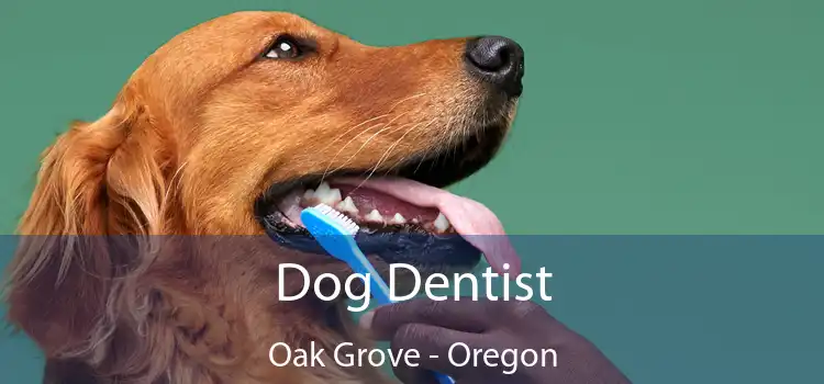 Dog Dentist Oak Grove - Oregon