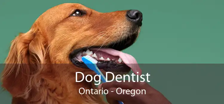 Dog Dentist Ontario - Oregon