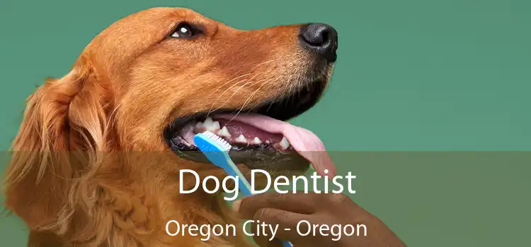 Dog Dentist Oregon City - Oregon