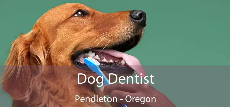 Dog Dentist Pendleton - Oregon