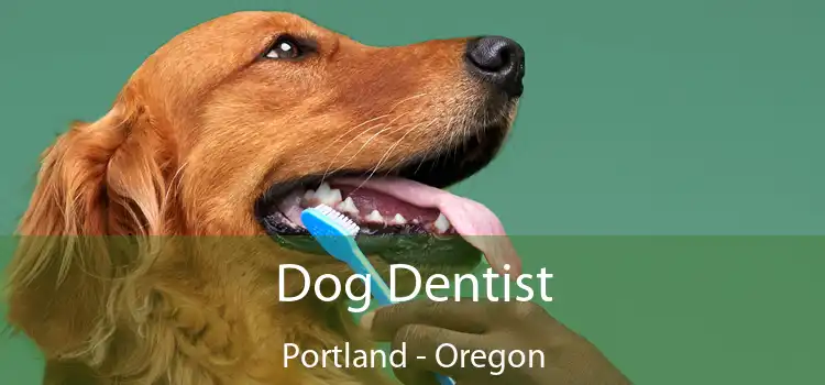 Dog Dentist Portland - Oregon