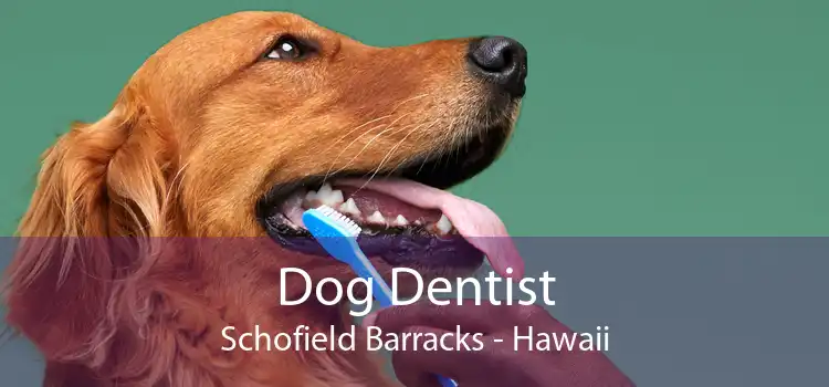 Dog Dentist Schofield Barracks - Hawaii