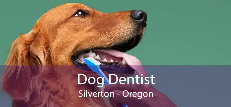 Dog Dentist Silverton - Oregon