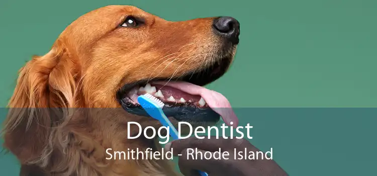 Dog Dentist Smithfield - Rhode Island