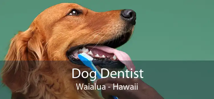 Dog Dentist Waialua - Hawaii